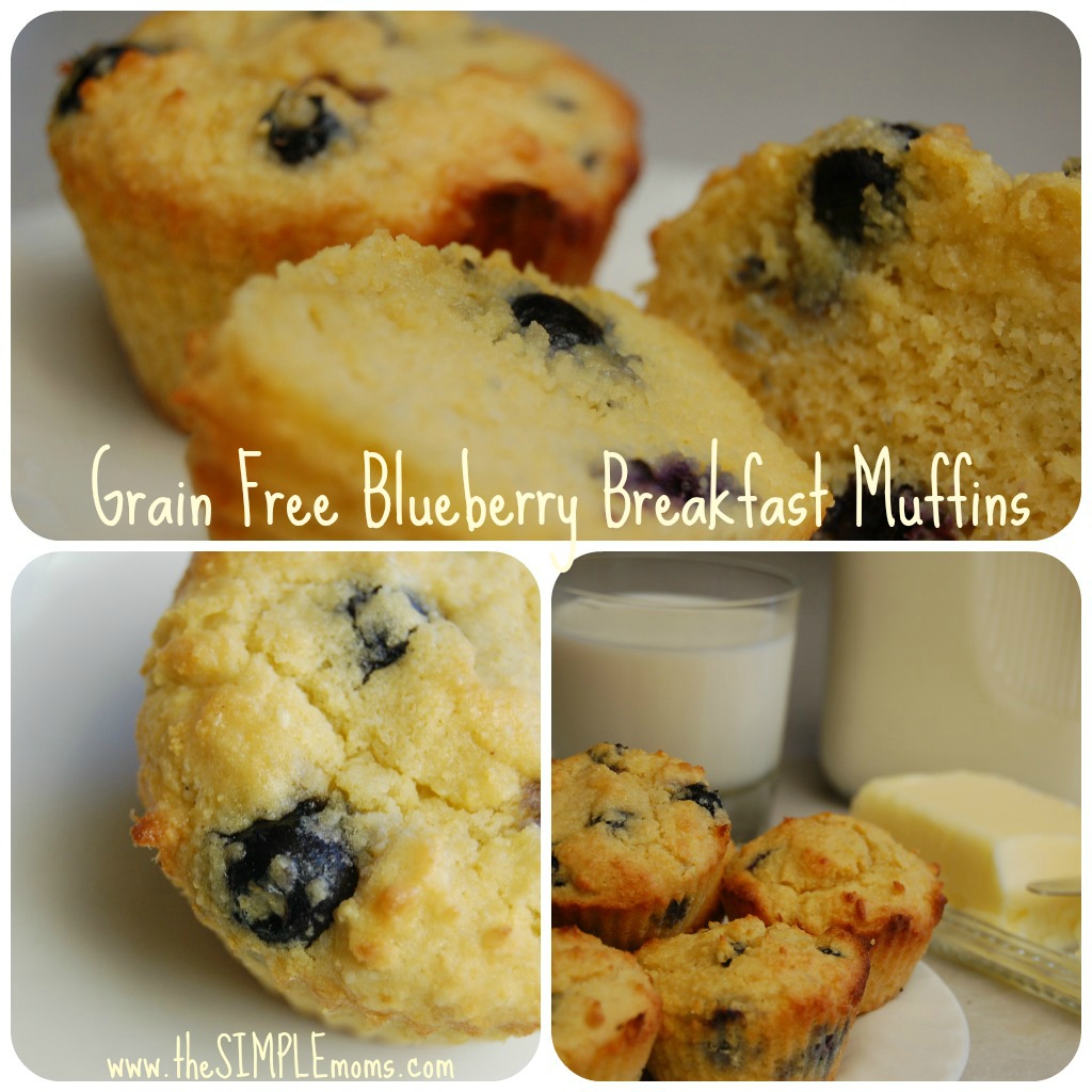 a simple real food recipe :: grain free blueberry breakfast muffins