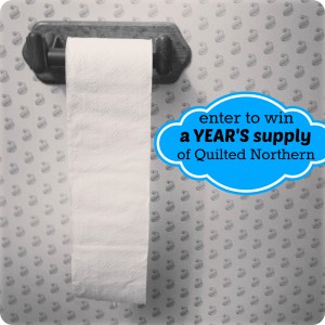 quilted northern giveaway image